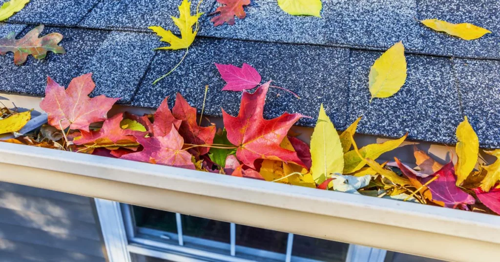 fall leaves on a roof and in a gutter